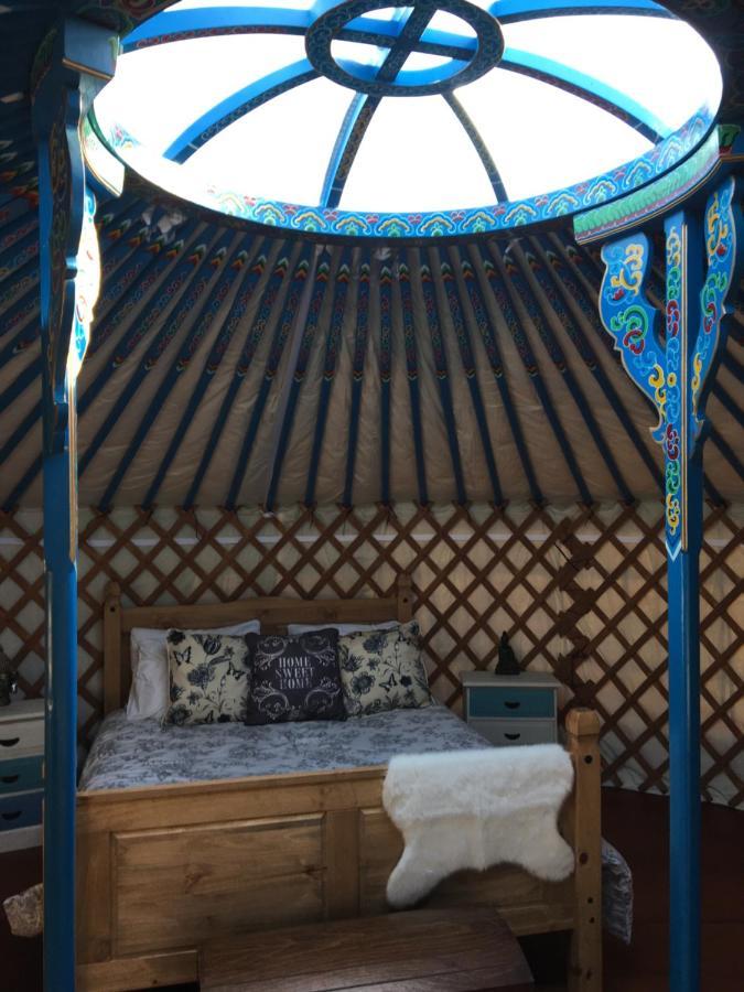 French Fields Luxury Glamping Original Mongolian Yurt Luxe tent