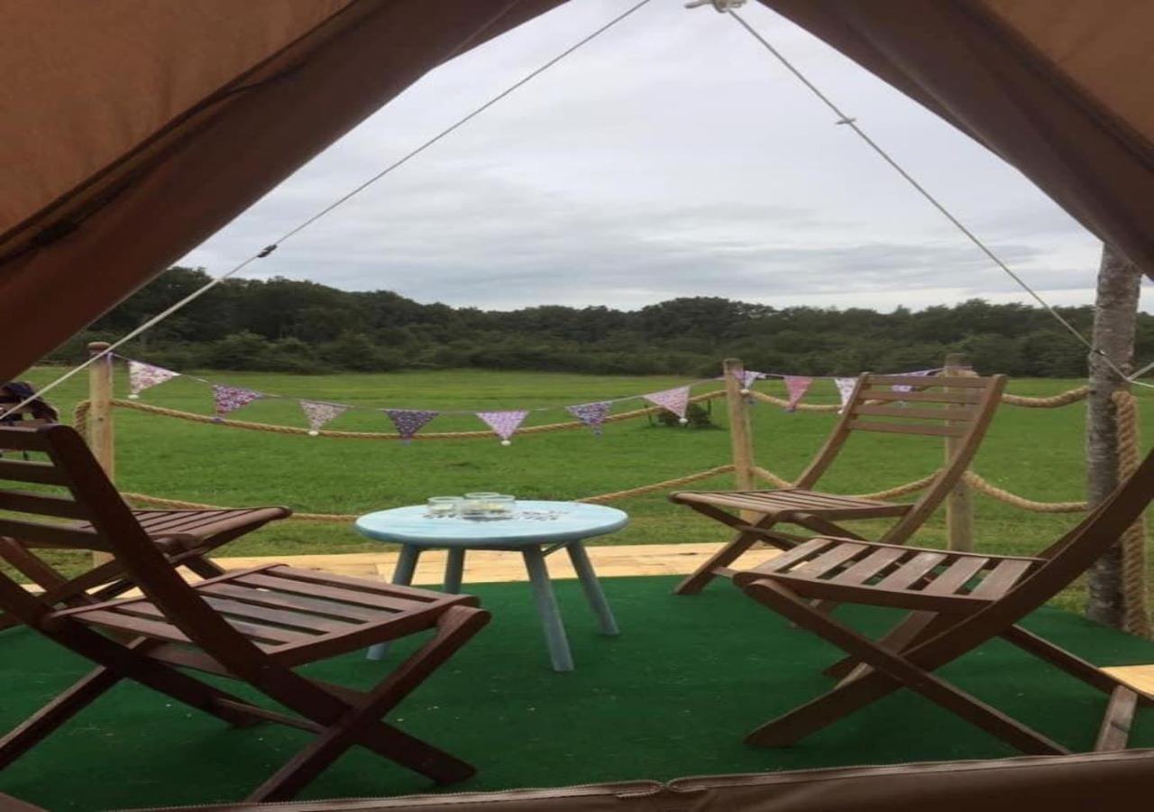 French Fields Luxury Glamping Original Mongolian Yurt Le-Vieux-Cerier